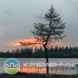 Рассвет над Ямальской лесотундрой, июнь 2015
