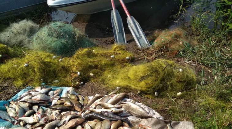 Факт рыболовли 15 июня на территории СПЧ «Нижневорсклянский»