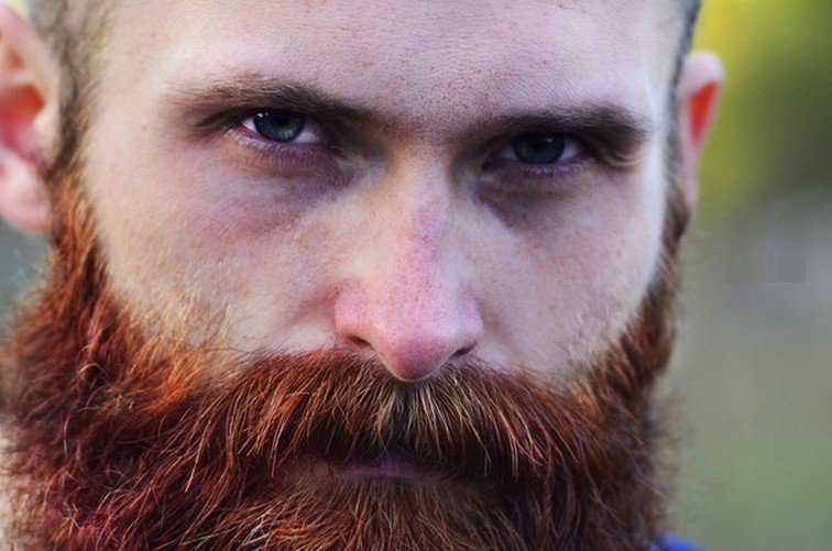 почему борода рыжеет - статья