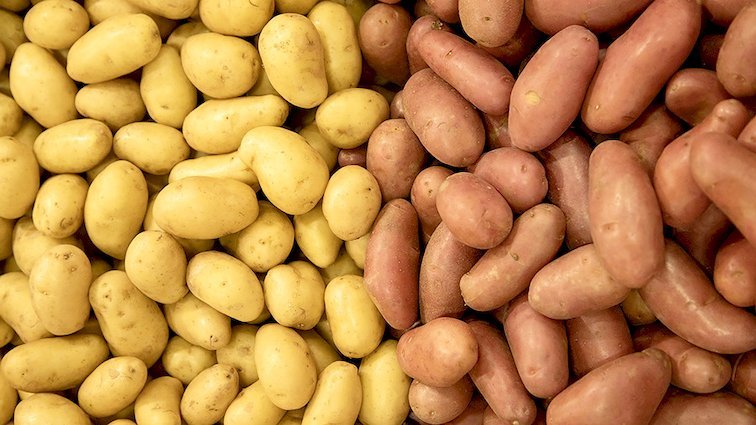 Украина увеличила импорт картофеля в 700 раз