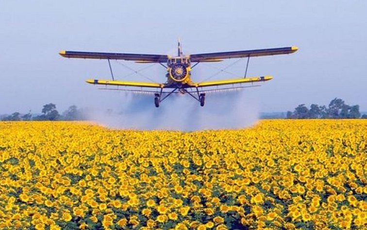 Советы аграриям по проведению десикации посевов подсолнечника и сои и применению пестицидов