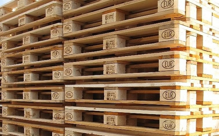 Риски проникновения карантинных организмов с деревянным упаковочным материалом при импорте