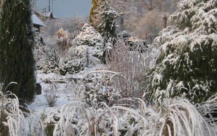 Уход за садами в зимний период на приусадебных участках