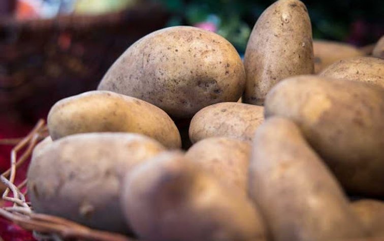 Хранение картофеля в зимний период