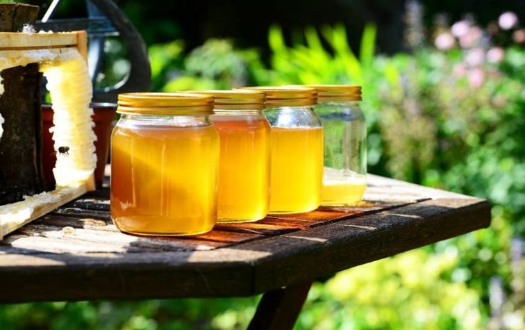 11 советов пасечникам для размещения пасек и предотвращения отравления пчёл