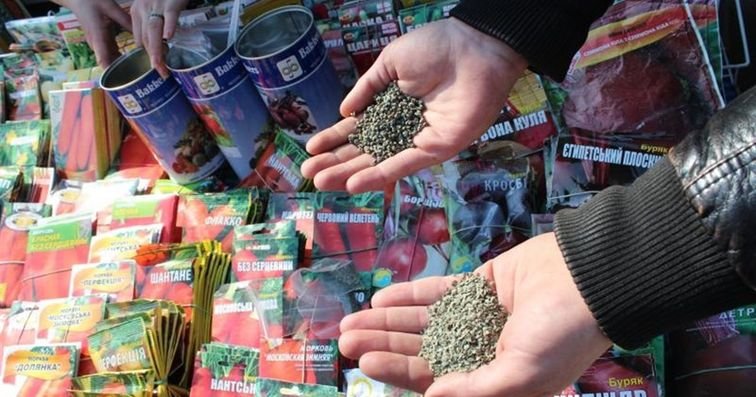 Советы потребителям при покупке семян овощных культур и посадочного материала — Госпродпотребслужба