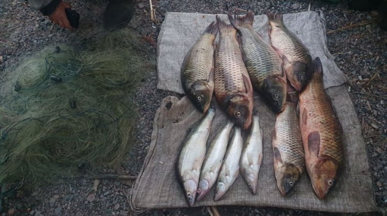 Фото Управления Государственного агентства рыбного хозяйства в Полтавской области