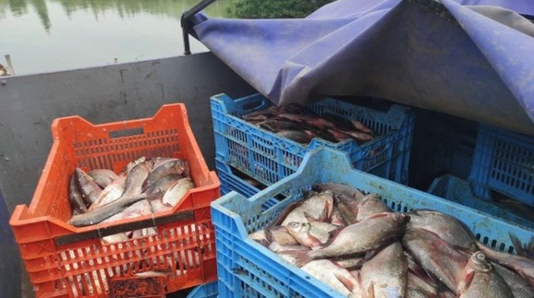 Фото Управления Государственного агентства рыбного хозяйства в Полтавской области