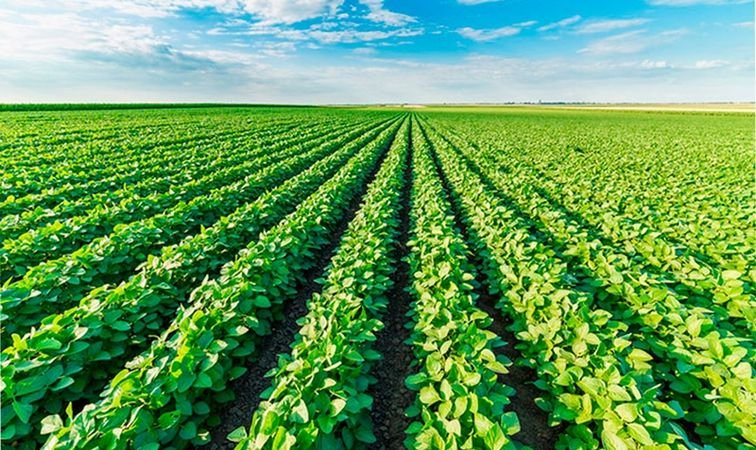 Купить систему точного земледелия в Украине — АИКо