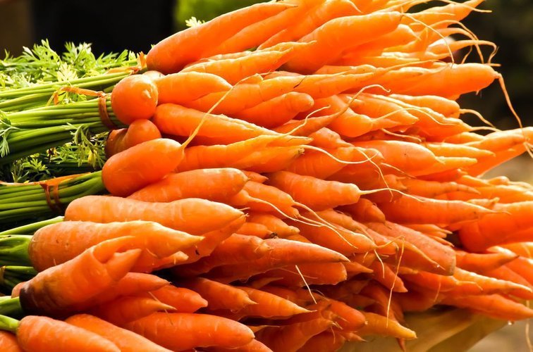 Як правильно зберігати моркву?