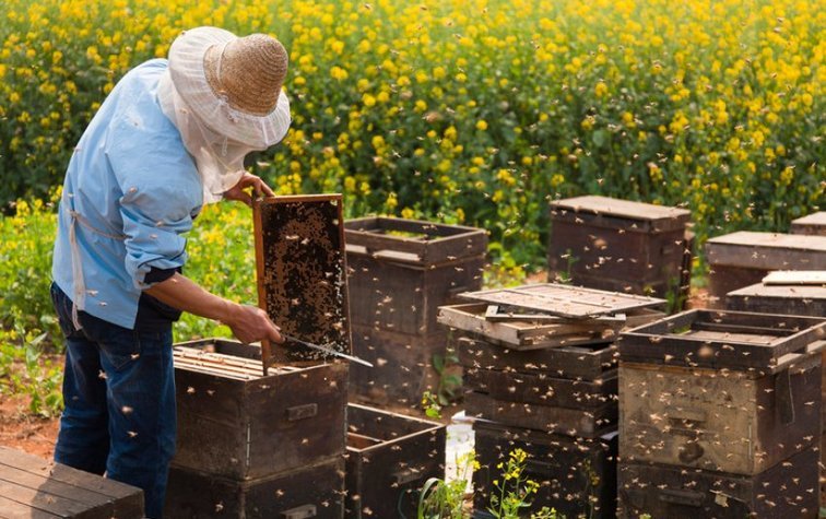 Интернет-магазин Смак Меду - всё для пчеловодства в Украине
