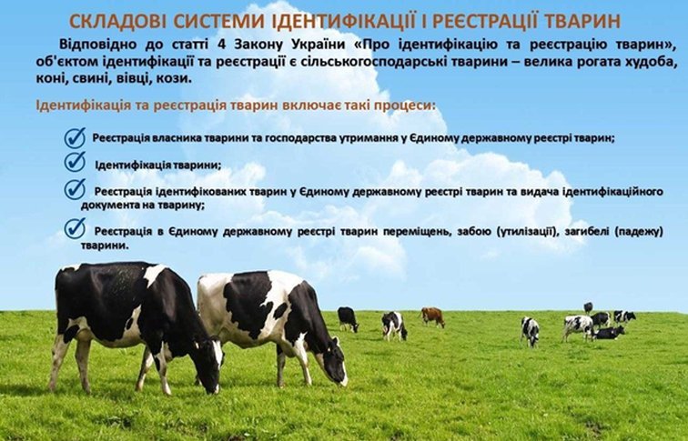 Идентификация и регистрация животных в Полтавской области