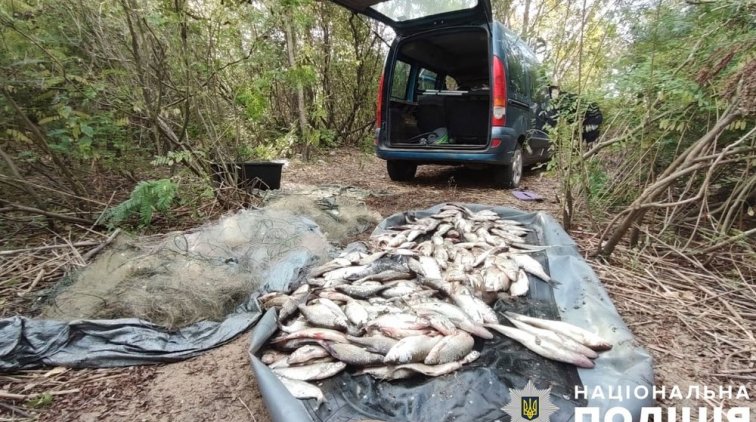 На Полтавщині затримали браконьєра з 40 кг риби