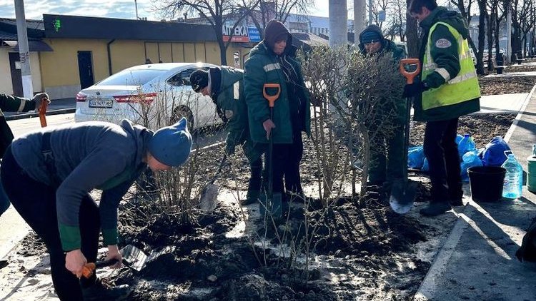 Новий етап облаштування скверу на вулиці Небесної Сотні