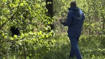 На Полтавщині розкладають понад пів мільйона доз вакцини проти сказу