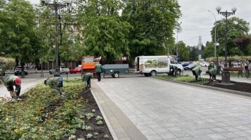 Кременчук готується до літа з яскравими клумбами та квітами