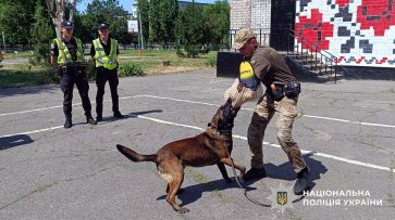 Маленькі учасники табору «Веселка» дізналися, як працює поліція Горішніх Плавнів
