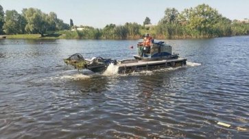 КП «Кременчук АКВА-СЕРВІС» розчищає річки й пляжі від очерету та водоростей