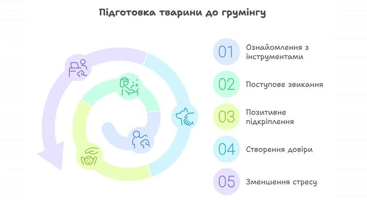 Як підготувати тварину до грумінгу